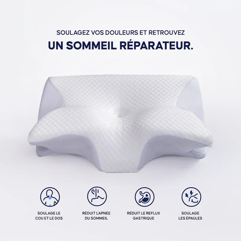 Oreiller Kineo 2.0